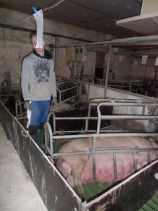 Berufsorientierung aktuell