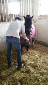 Kooperation mit Partnern