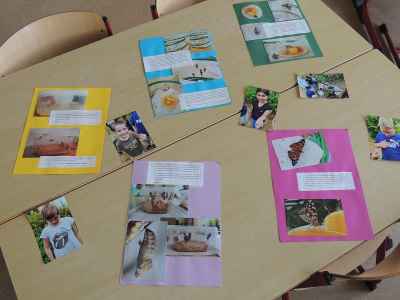 Sommerfest 2023 Förderzentrum Schmölln